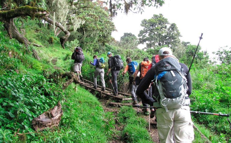 Climbing Mount Meru in Tanzania Hiking & Trekking 
